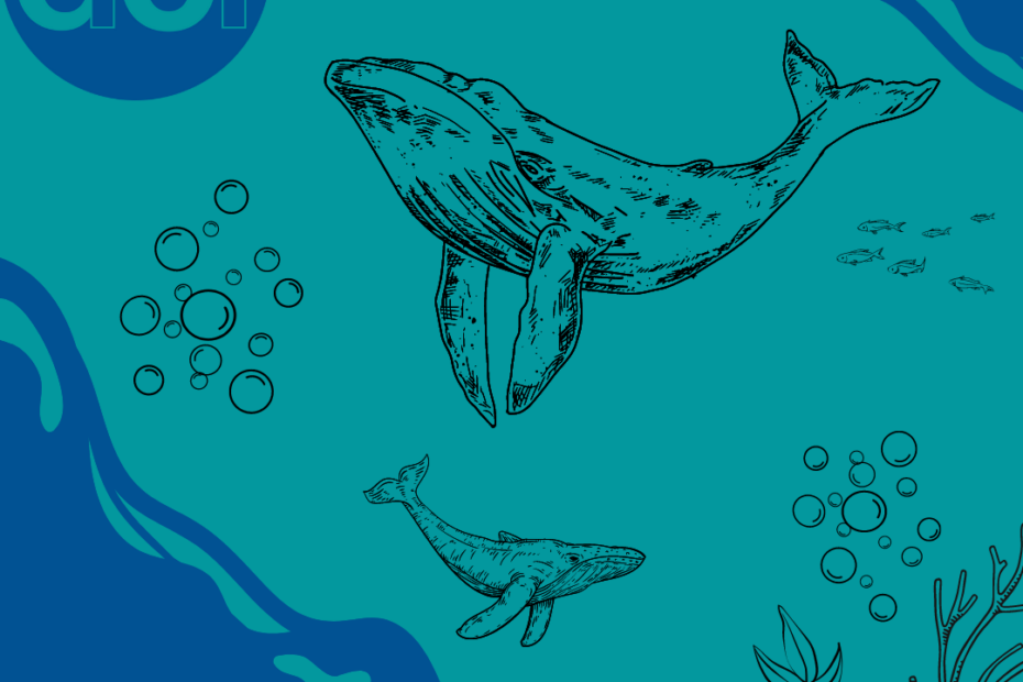 Titelbild für das Rätsel Tschukschi 2022. Es ist blau und grün und es sind Wale, Fische und Pflanzen zu sehen.